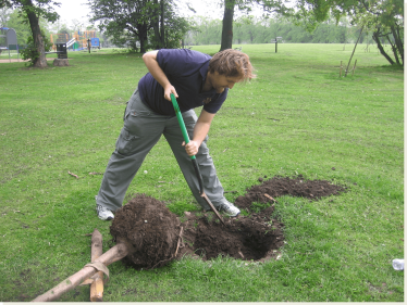 Robert digging a hole for the tree